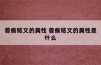 兽痕铭文的属性 兽痕铭文的属性是什么